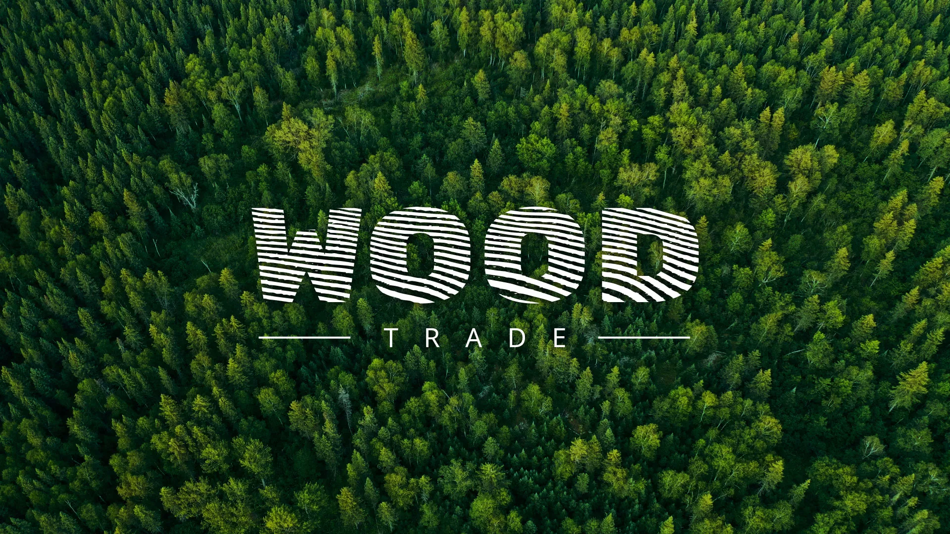 Разработка интернет-магазина компании «Wood Trade» в Белом